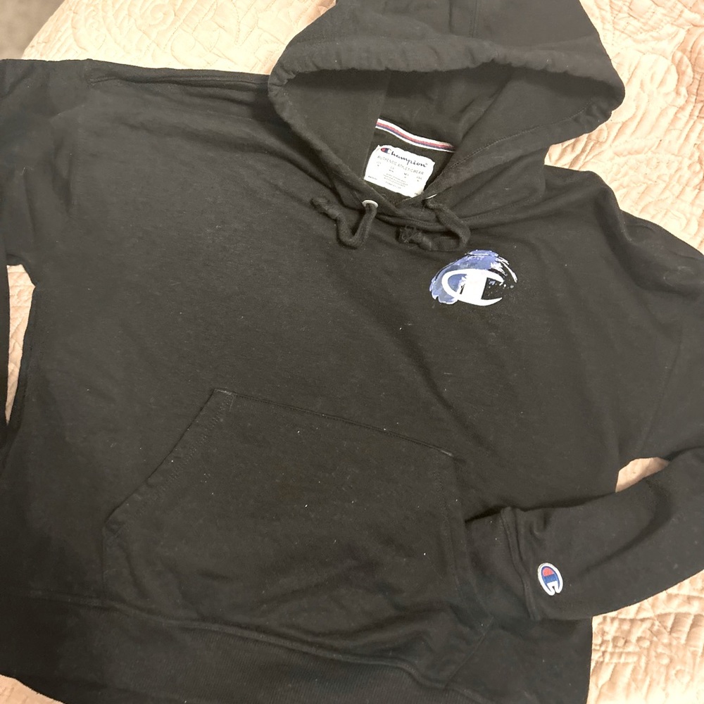 Women’s size medium champion hoodie authentic with purple/silver emblem